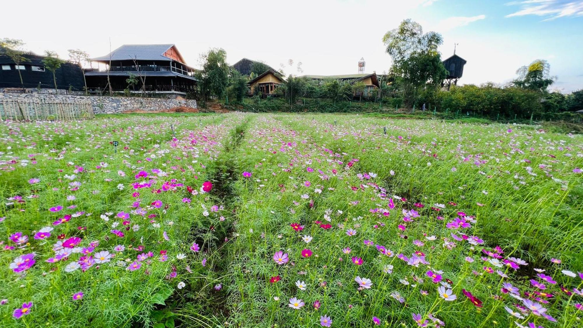 Satoyama Village Luong Son  Dış mekan fotoğraf