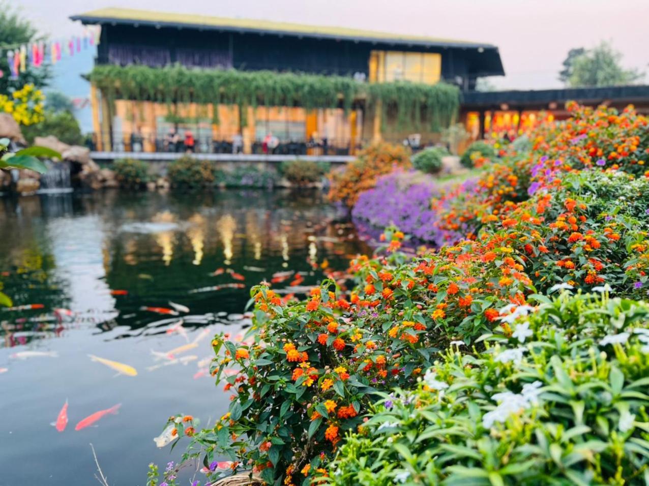 Satoyama Village Luong Son  Dış mekan fotoğraf