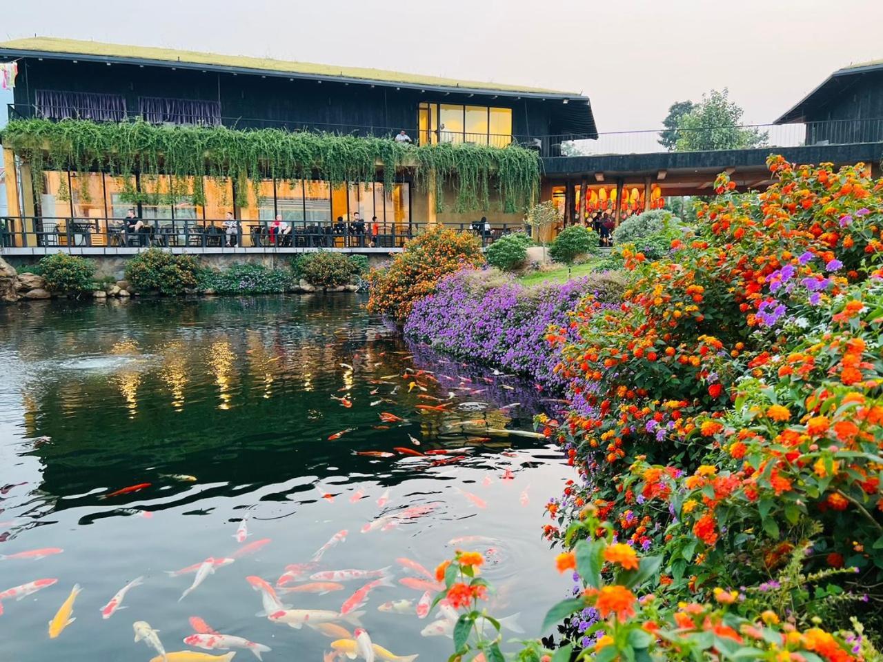 Satoyama Village Luong Son  Dış mekan fotoğraf